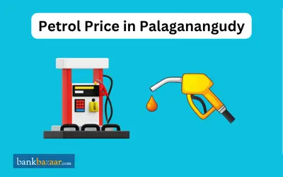 Petrol Price in  Palaganangudy