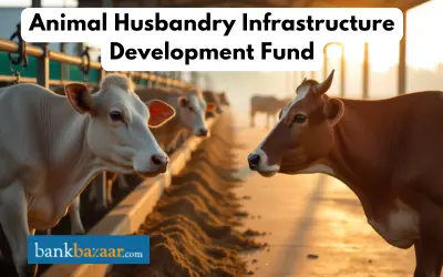 Animal Husbandry Infrastructure Development Fund