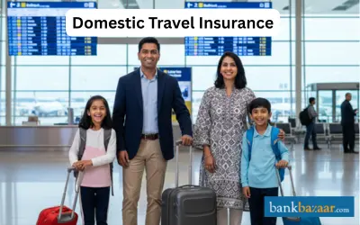 Domestic Travel Insurance 2026