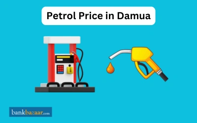 Petrol Price in Damua