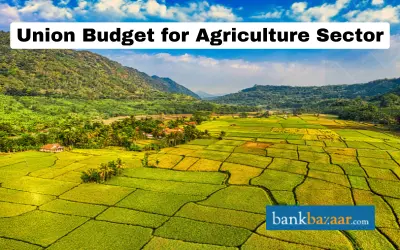 Union Budget on Agriculture Sector
