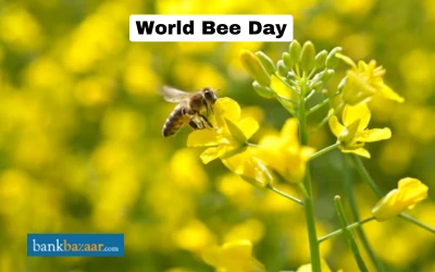 World Bee Day