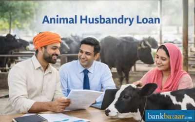Animal Husbandry Loan